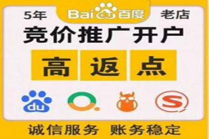 百度SEM推广策略：成功案例解析