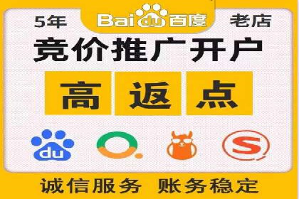 竞价广告的技巧与策略：网络推广的经典案例分享